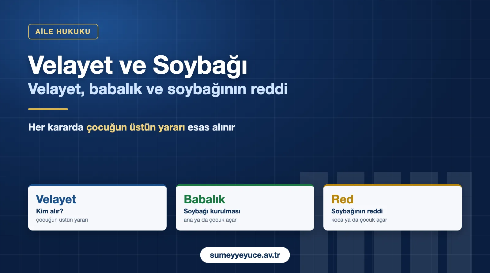 Velayet Davası, Babalık Davası ve Soy Bağının Reddi Davası