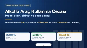 Alkollü araç kullanma cezası 2026: promil sınırları, para cezası ve ehliyetin geri alınma süreleri (KTK 48)